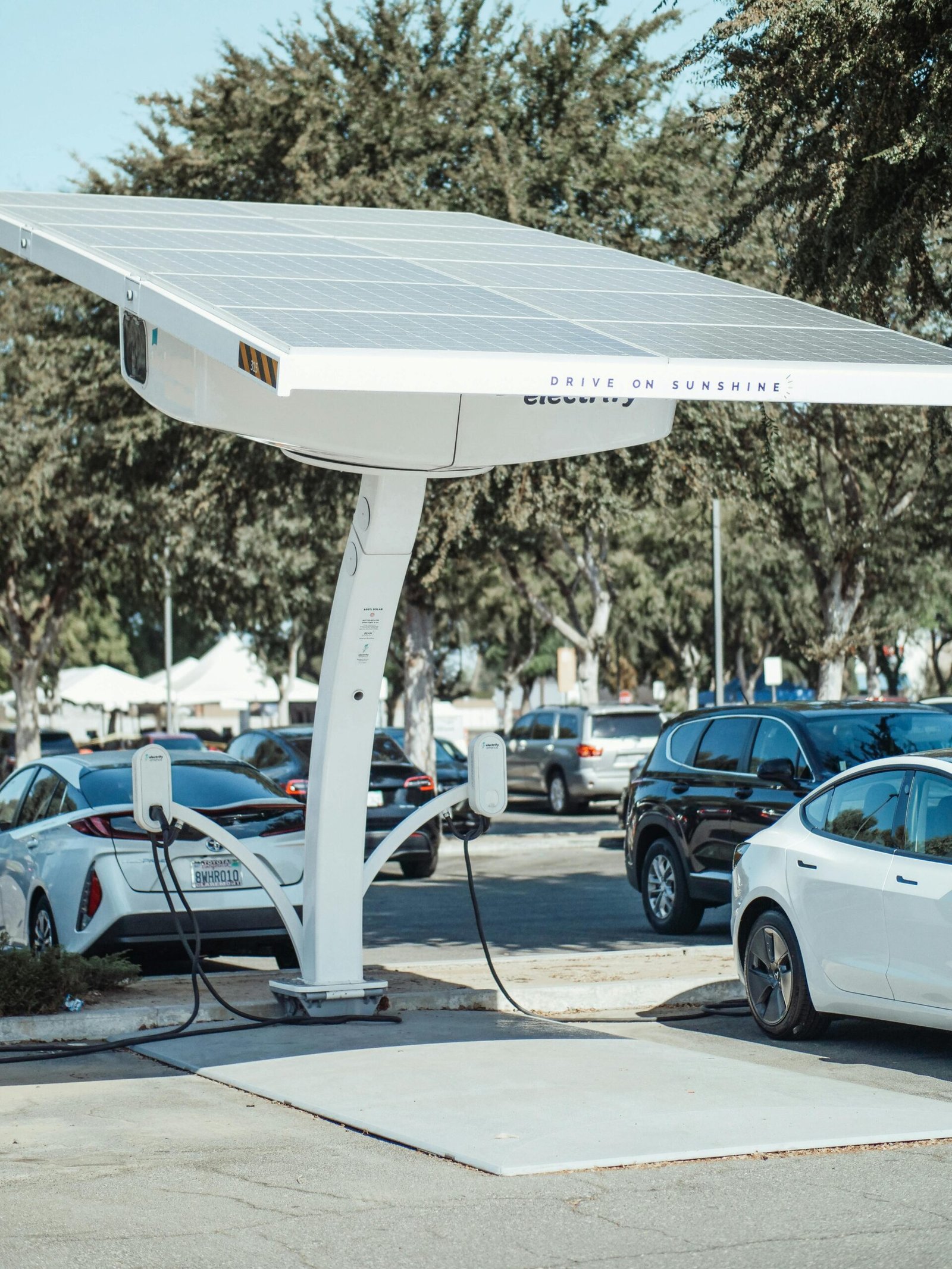 Powering Love for the Planet with EVs